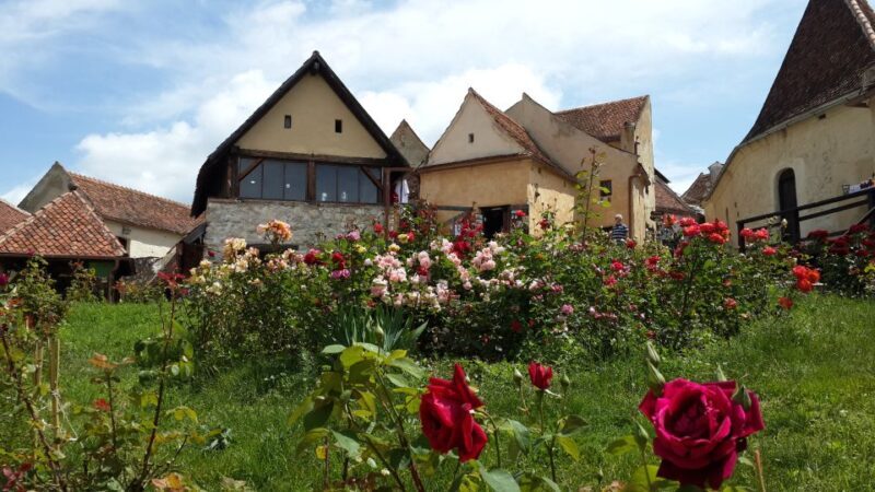 Brown Bear Sanctuary, Bran Castle & Rasnov Fortress Day Tour - Pricing and Value