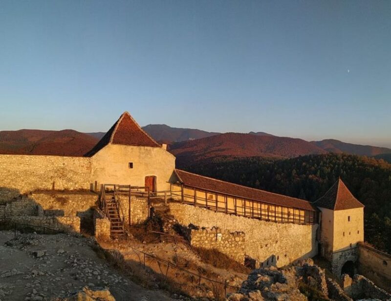 Brown Bear Sanctuary, Bran Castle & Rasnov Fortress Day Tour - Who Is This Tour Best For?