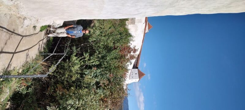 Brown Bear Sanctuary, Bran Castle & Rasnov Fortress Day Tour - The Sum Up: Why You Should Consider This Tour