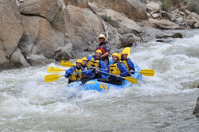 Browns Canyon Half-Day Whitewater Rafting Tour from Buena Vista - The Experience: What to Expect on Your Half-Day Adventure