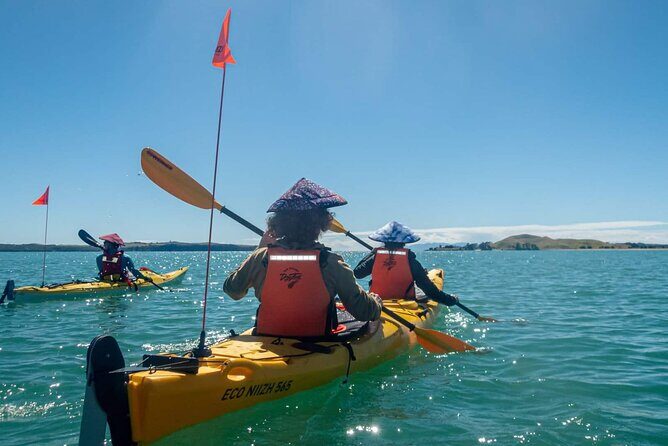 Browns Island Motukorea Sea Kayak Tour - What the Experience Means for Travelers