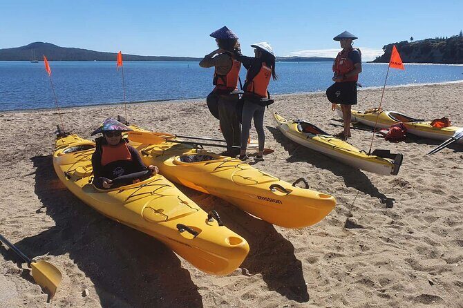 Browns Island Motukorea Sea Kayak Tour - Final Thoughts