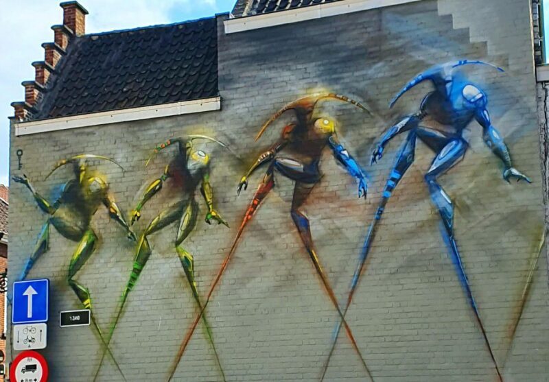 Bruges by bike with family and friends! - FAQ