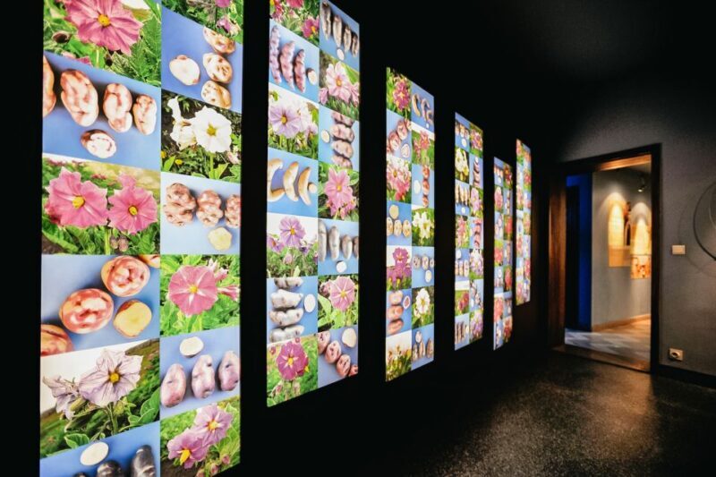 Bruges: Frietmuseum Entry Ticket - The Medieval Cellar & Fries Tasting