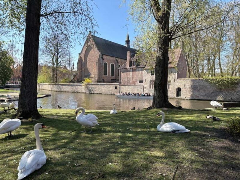 Bruges: highlights & hidden gems - private tour 2 hours - The Itinerary: What’s Included?