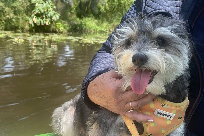 Brunch at Xochimilco, México City. - The Sum Up