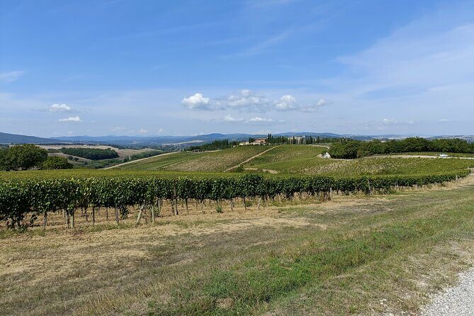 Brunello E-Bike Tour - Who Should Consider This Tour?