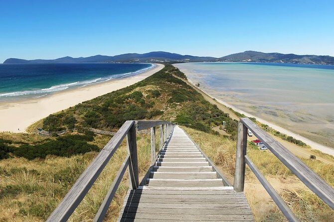 Bruny Island Day Tour Private Charter Service 3 days in advance - Introducing Our Review of the Bruny Island Private Day Tour