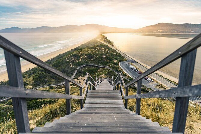Bruny Island Day Tour Scenic Views And Local Tastings - Key Points