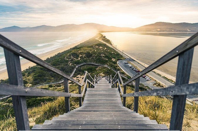 Bruny Island Day Tour Scenic Views And Local Tastings - Who Would Love This Tour?