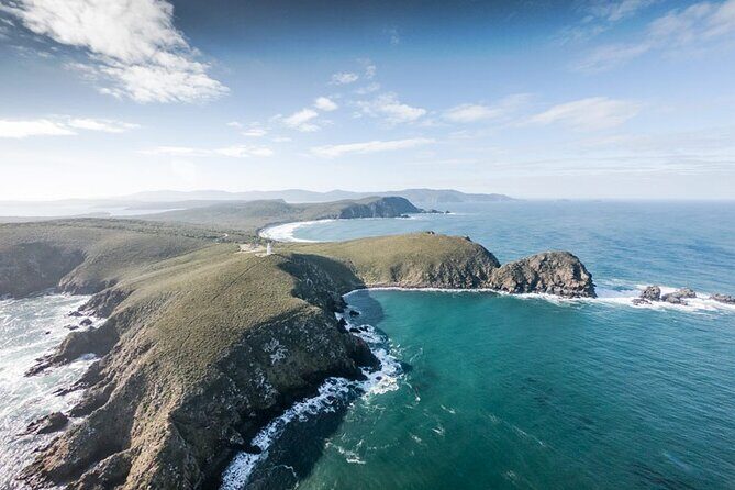 Bruny Island Day Tour Scenic Views And Local Tastings - The Sum Up