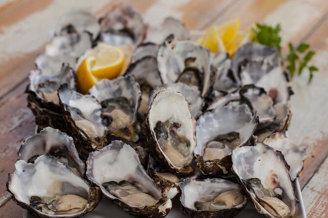 Bruny Island Traveller - Gourmet Tasting and Sightseeing Day Trip from Hobart - Scenic Stops and Views