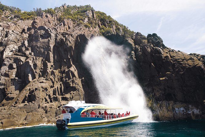 Bruny Island Wilderness Cruise from Adventure Bay, Bruny Island - Who Will Love This Tour?