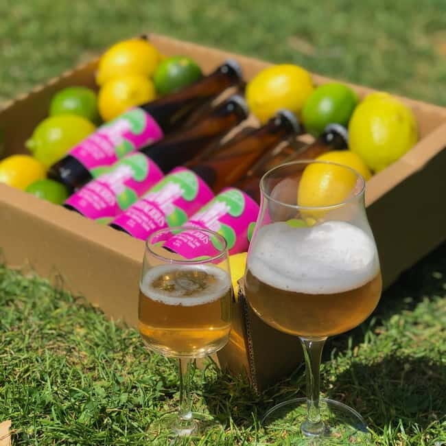 Brussels: beer tasting workshop in a micro brewery - Who Should Consider This Tour?