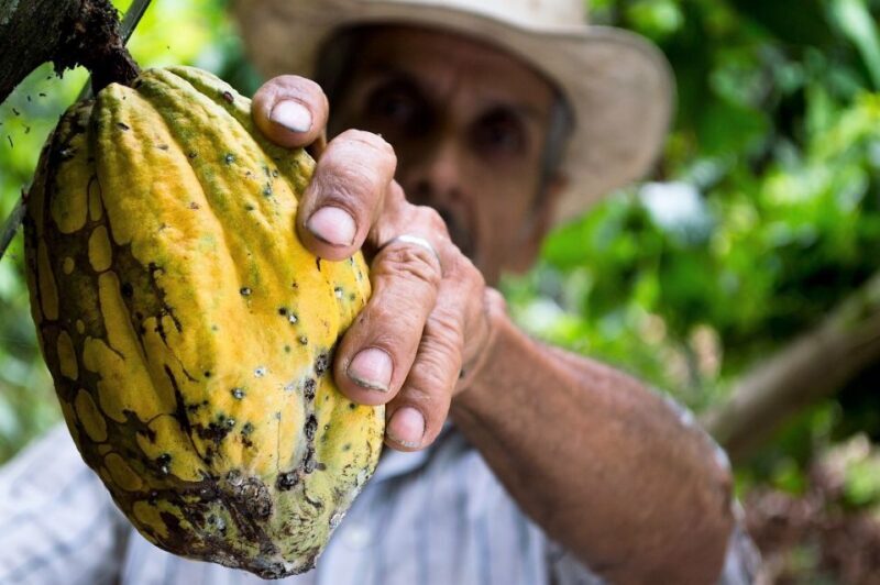 Brussels: Chocolate Workshop and Guided Walking Tour - Insights from Reviewers