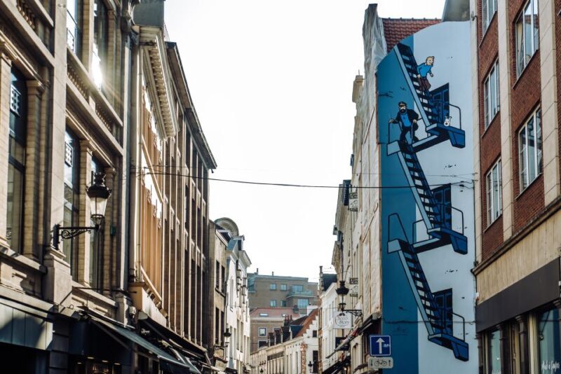 Brussels Comics & Street Art: Private Walking Tour - Practical Details and Value