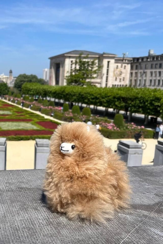 Brussels Day Trip from Paris or Amsterdam by Mini-Van - Key Points