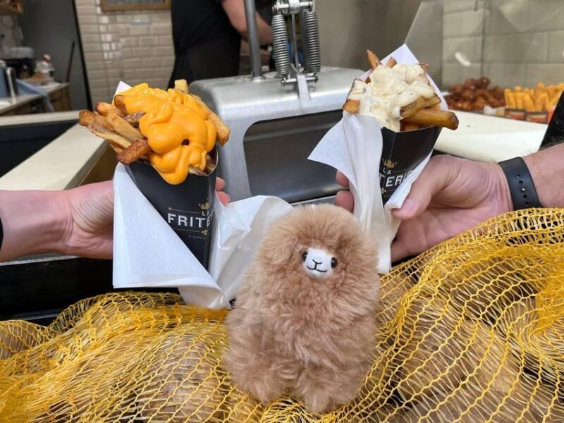 Brussels Day Trip from Paris or Amsterdam by Mini-Van - A Practical Guide to the Brussels Day Trip