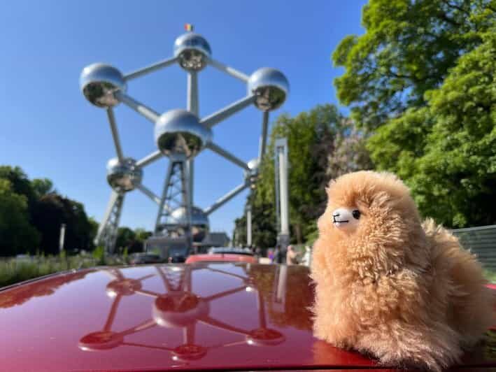 Brussels Day Trip from Paris or Amsterdam by Mini-Van - Final Thoughts: Is This Tour for You?