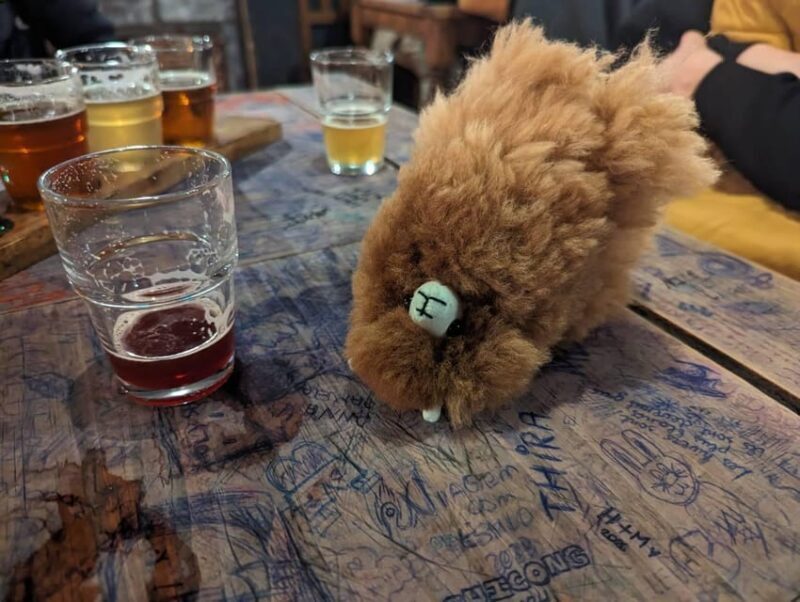 Brussels Day Trip from Paris or Amsterdam by Mini-Van - FAQ