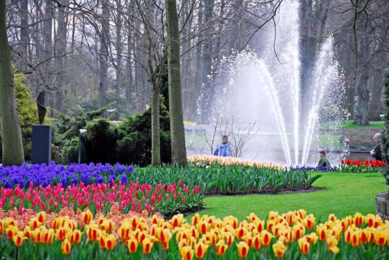 Brussels: Full Day Holland Keukenhof & Windmills Guided Tour - The Sum Up
