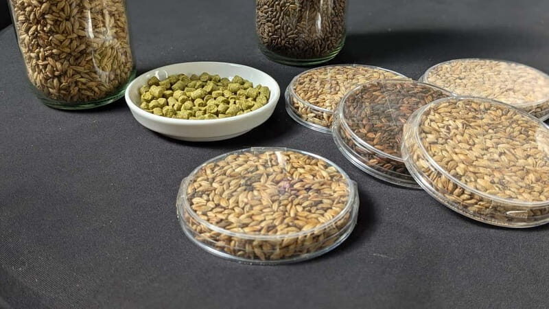 Brussels: micro brewery & distillery tour + beer tasting - What to Expect from the Tipsy Tribe Brewery & Distillery Tour