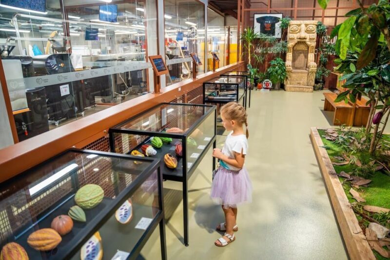 Brussels: Private Family Tour. Highlights, Tasting & Museum - What Youll Experience on the Tour