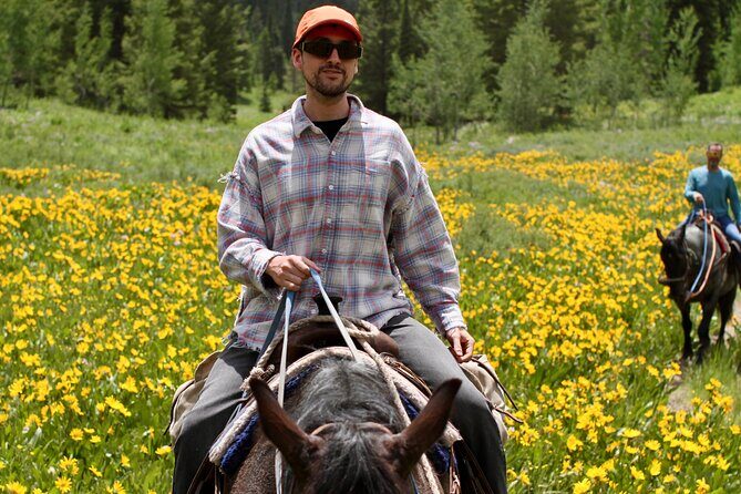 Bryans Flat View Horseback Ride - Exploring the Bryans Flat View Horseback Ride in Detail