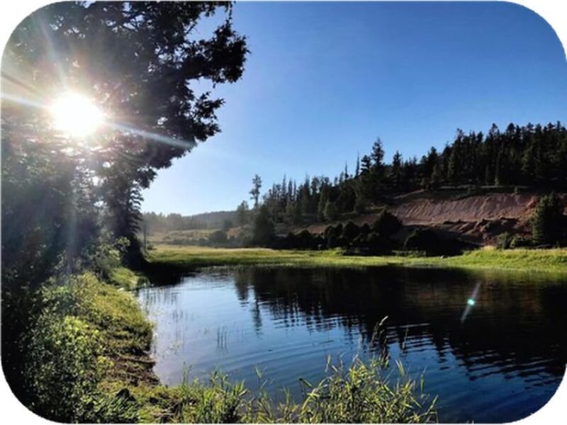 Bryce Canyon: 4-Hour, 4-Seat or 5-Seat ATV Rental - Why This Tour Works