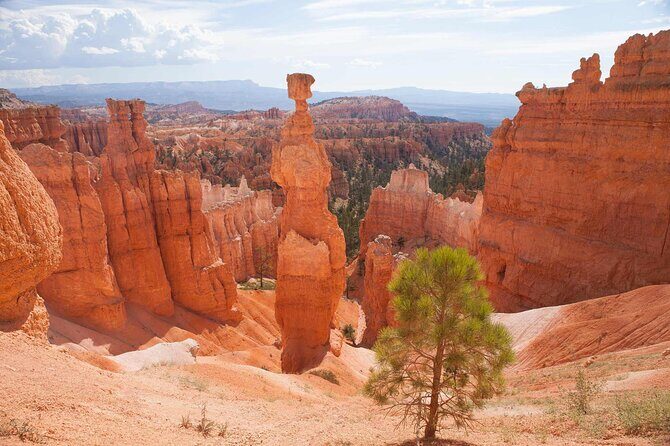 Bryce Canyon and Zion National Park Tour - FAQ
