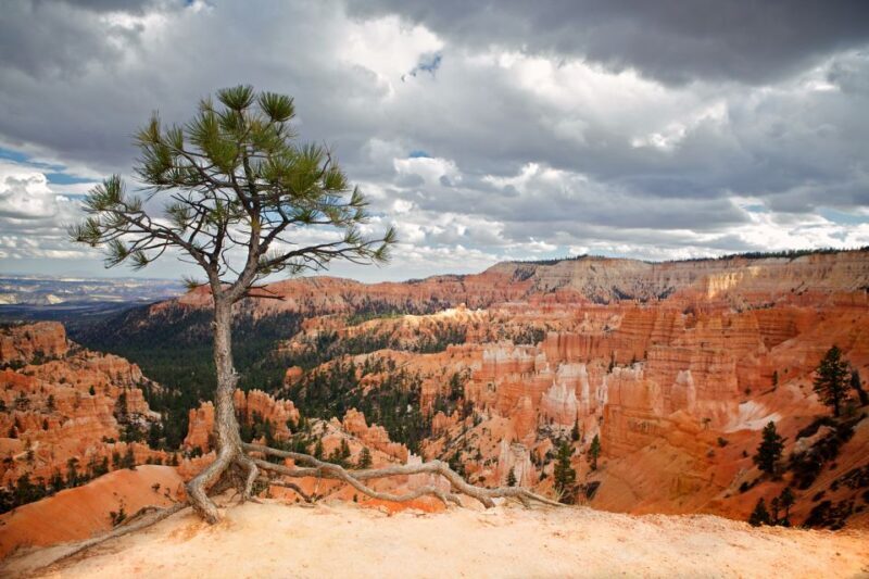 Bryce Canyon City Guided ATV/RZR Tour - Final Thoughts