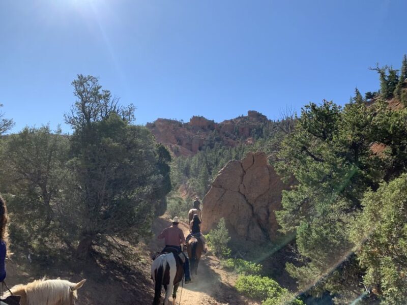Bryce Canyon City: Horseback Riding Tour in Red Canyon - The Ride Itself: What to Expect