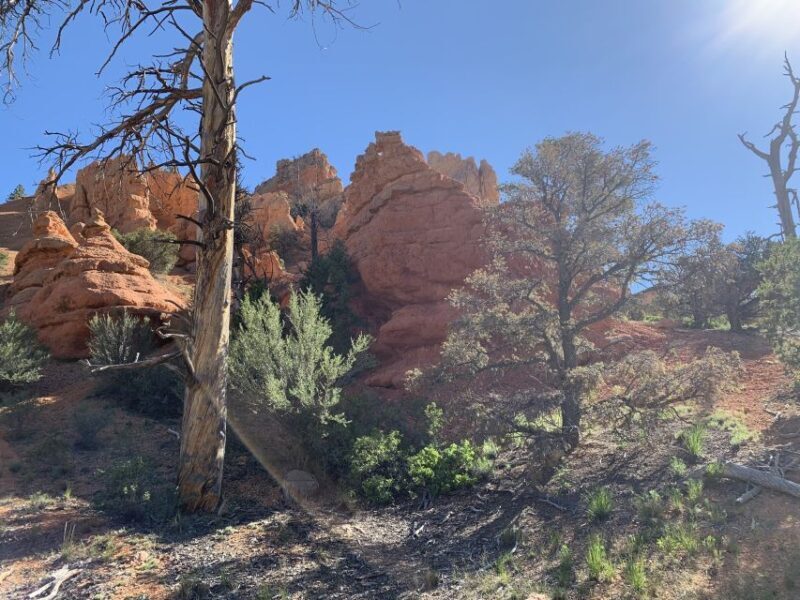 Bryce Canyon City: Horseback Riding Tour in Red Canyon - Practical Details and Considerations