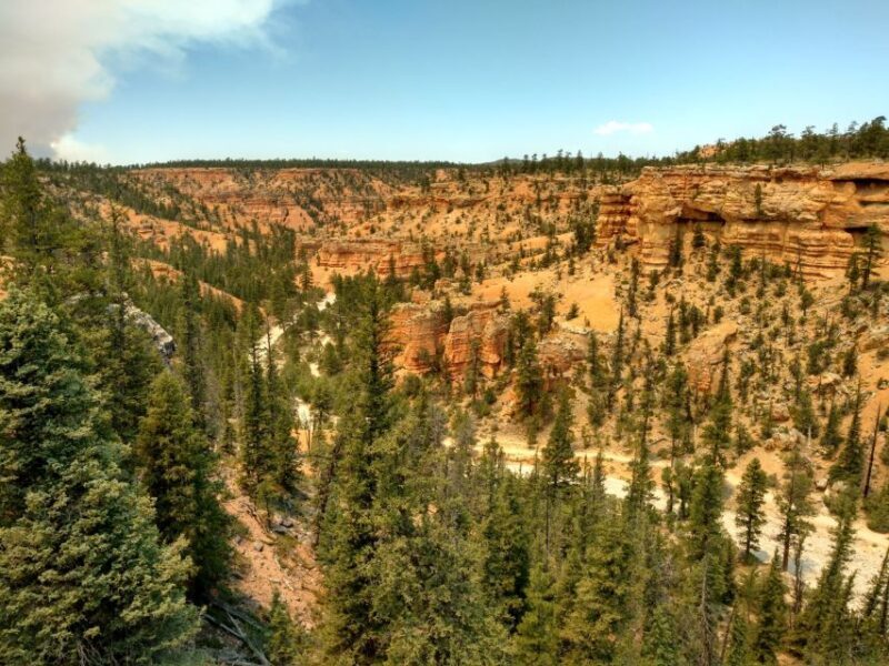 Bryce Canyon City: Red Canyon Horse Riding Day Trip w/ Lunch - Setting Out on Your Red Canyon Horseback Adventure