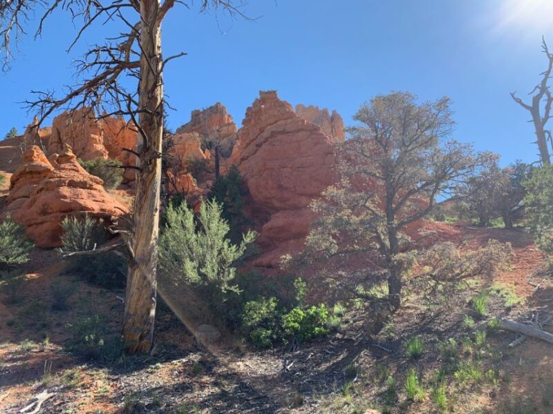 Bryce Canyon City: Red Canyon Horse Riding Day Trip w/ Lunch - The Iconic Red Canyon Arch and Scenic Highlights
