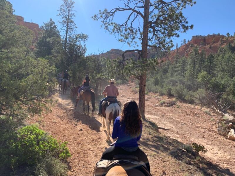 Bryce Canyon City: Red Canyon Horse Riding Day Trip w/ Lunch - Lunch and Rest Breaks in the Wilderness