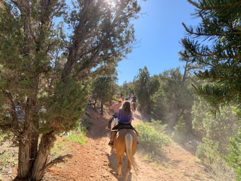 Bryce Canyon City: Red Canyon Horse Riding Day Trip w/ Lunch - Practical Tips for the Ride