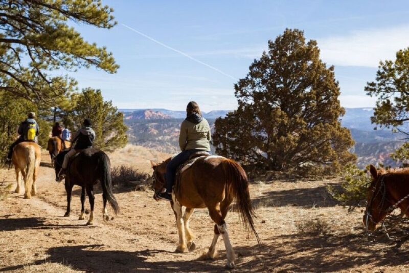 Bryce Canyon: Horseback Ride in the Dixie National Forest - A Thorough Look at the Experience
