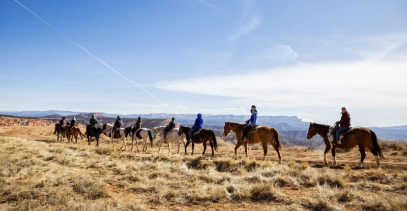 Bryce Canyon: Horseback Ride in the Dixie National Forest - A Detailed Look at the Horseback Ride Experience