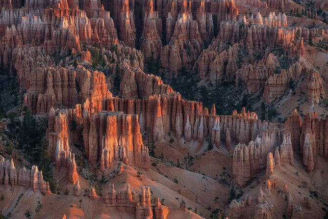 Bryce Canyon Photography Tours - A Closer Look at Bryce Canyon Photography Tours
