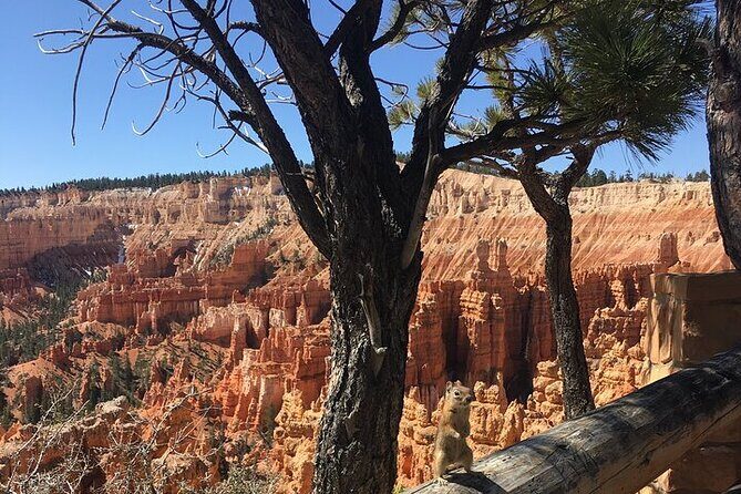 Bryce Canyon Private Tour - Practical Details