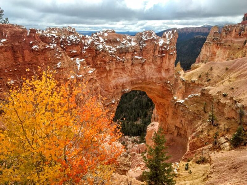 Bryce: Guided Sightseeing Tour of Bryce Canyon National Park - Key Points