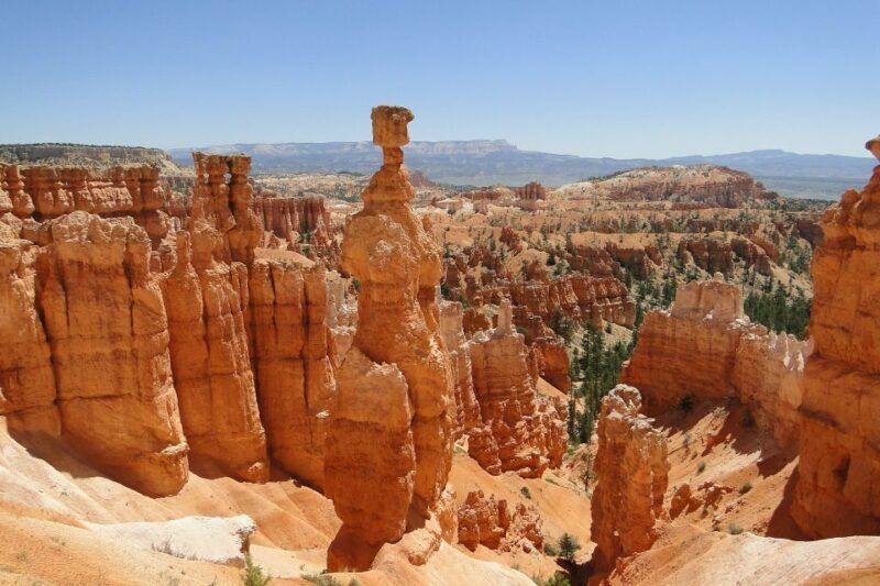 Bryce: Guided Sightseeing Tour of Bryce Canyon National Park - An In-Depth Look at the Bryce Canyon Guided Tour