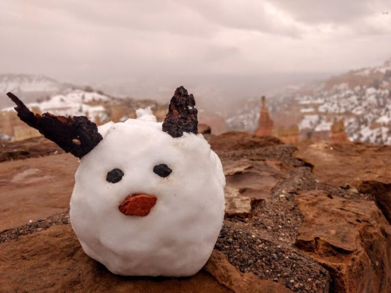 Bryce: Guided Sightseeing Tour of Bryce Canyon National Park - The Sum Up: Is This Tour Right for You?