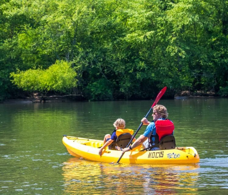 Bryson City: Fontana Lake Guided Kayak Tour - Exploring Fontana Lake with NOC: What You Can Expect