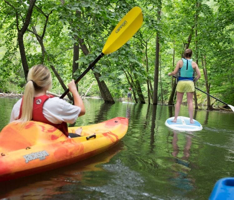 Bryson City: Fontana Lake Guided Kayak Tour - Final Thoughts: Why Choose This Tour?