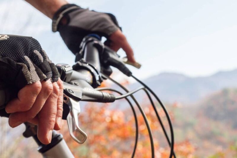 Bryson City: Tsali Recreation Area Guided Mountain Bike Tour - Practical Details and Tips