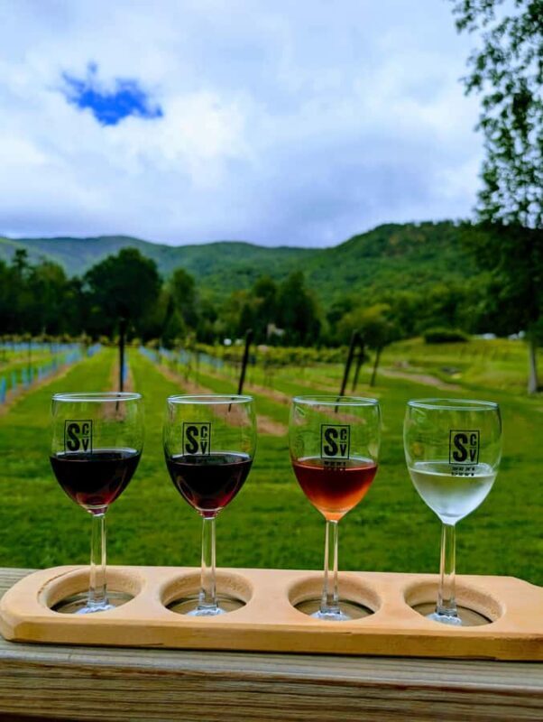 Bryson City: Waterfalls & Wineries Tour - Key Points