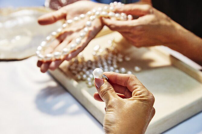 Buccaneer Explorer - Dry Season - The Sum Up: Who Will Love the Buccaneer Explorer?