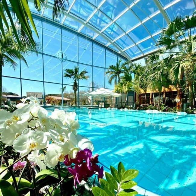 Bucharest: All Day Therme with Elysium Experience - Authentic Insights from Reviewers